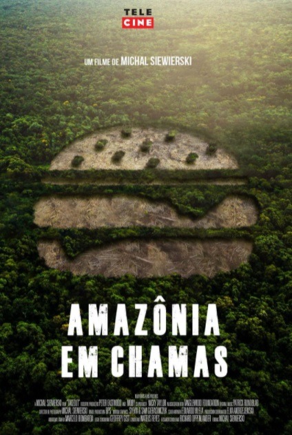 Amazônia em Chamas Crítica Filme Documentário Takeout Pôster